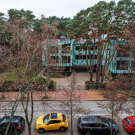 Апартаменты Birute Cozy