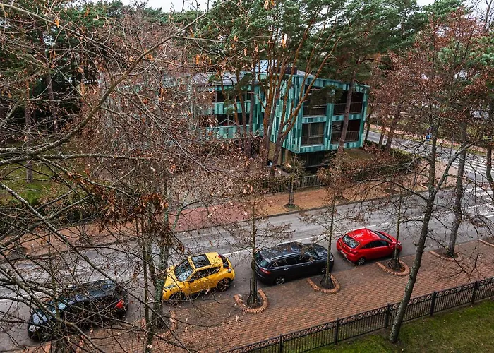 Birute Cozy * פלאנגה