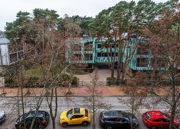 Apartamento Birute Cozy